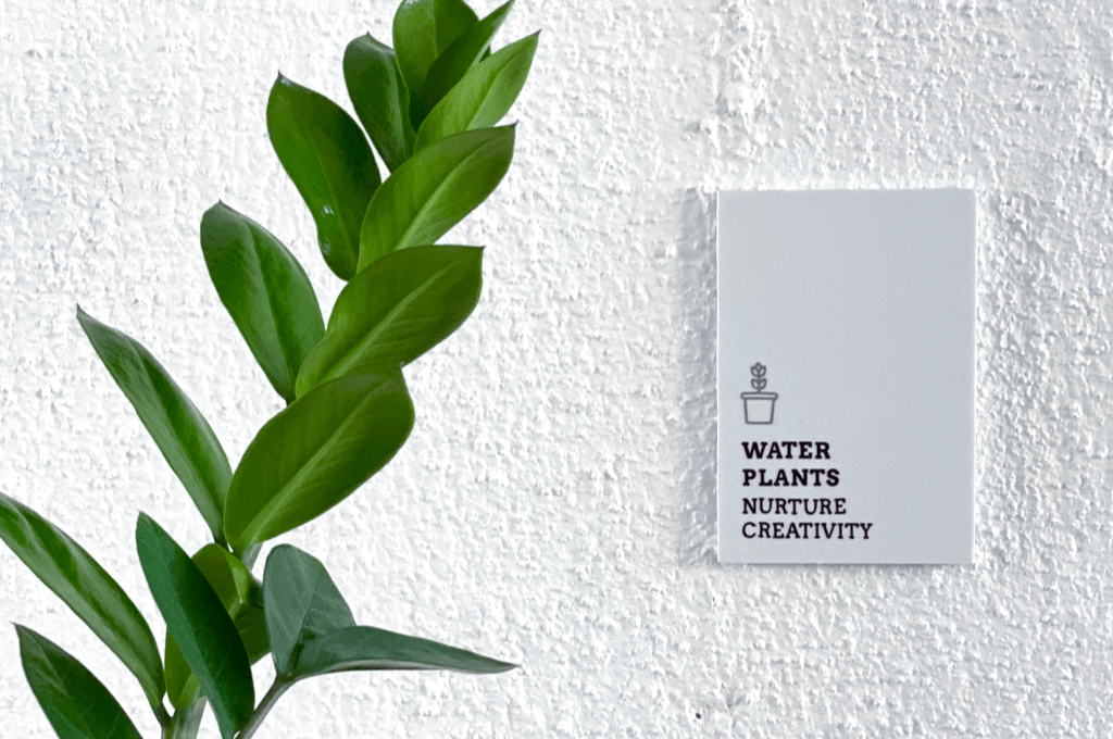 Plantas do escritório da Brief, que estimulam os nossos níveis de criatividade e produtividade